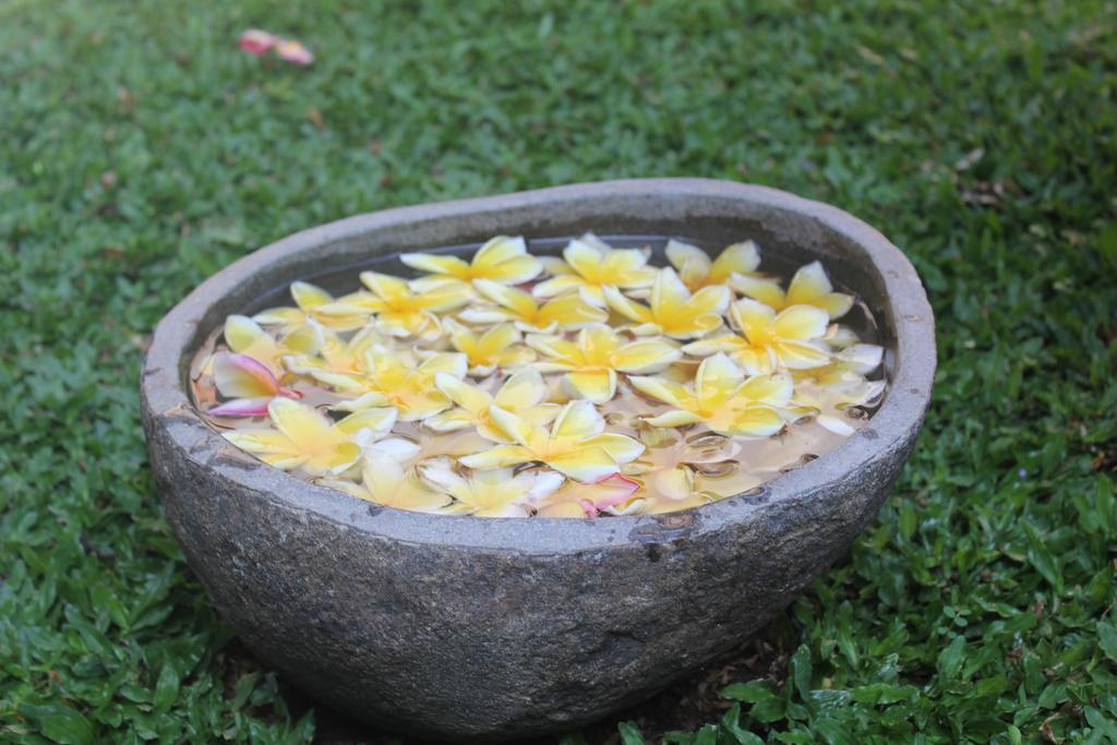 Odah Ayu Guest House Ubud Exterior foto
